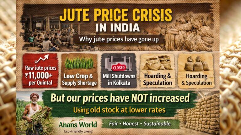 Why Jute Prices Have Gone Up in India – Current Scenario Explained